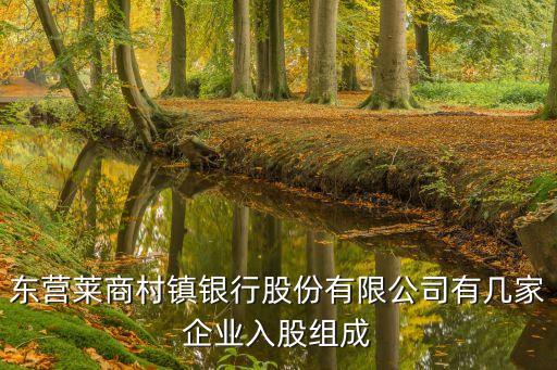 东营莱商村镇银行股份有限公司有几家企业入股组成