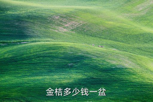金桔多少钱一盆