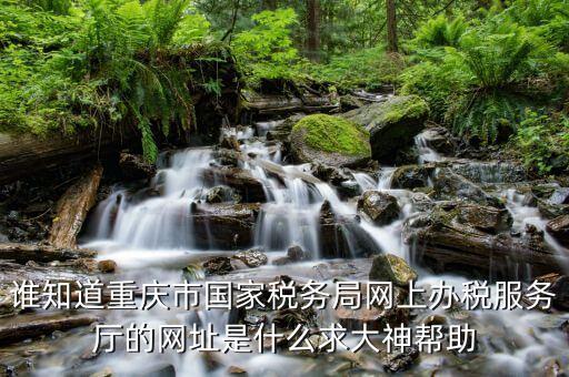 谁知道重庆市国家税务局网上办税服务厅的网址是什么求大神帮助