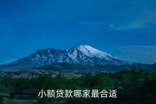 小额贷款哪家最合适