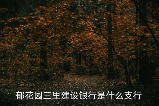 郁花园三里建设银行是什么支行