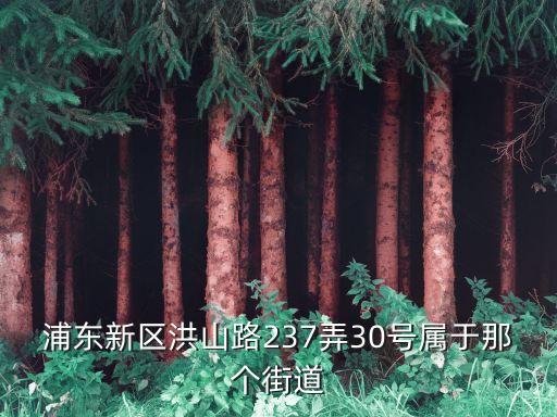 浦东新区洪山路237弄30号属于那个街道