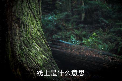 线上是什么意思