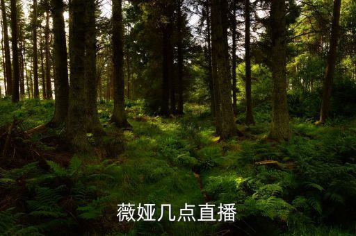 薇娅几点直播