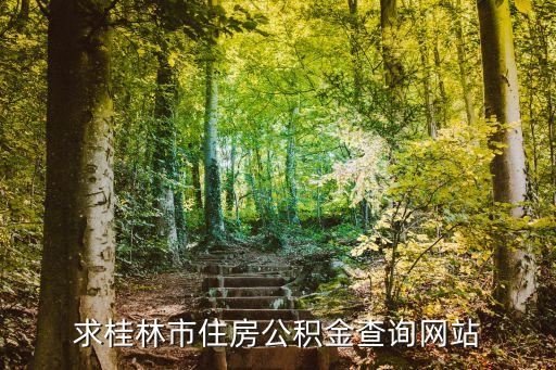 求桂林市住房公积金查询网站