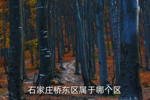 石家庄桥东区属于哪个区