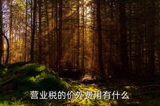 价外费用，税法中的价外费用到底什么意思啊
