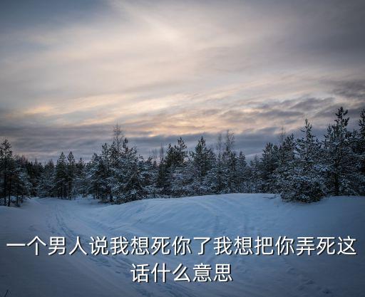一个男人说我想死你了我想把你弄死这话什么意思