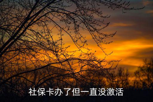 社保卡办了但一直没激活