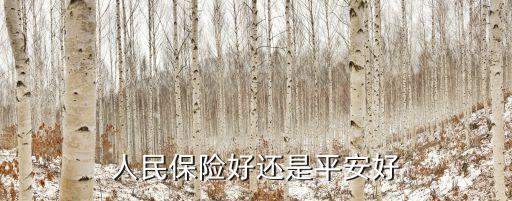 人民保险好还是平安好