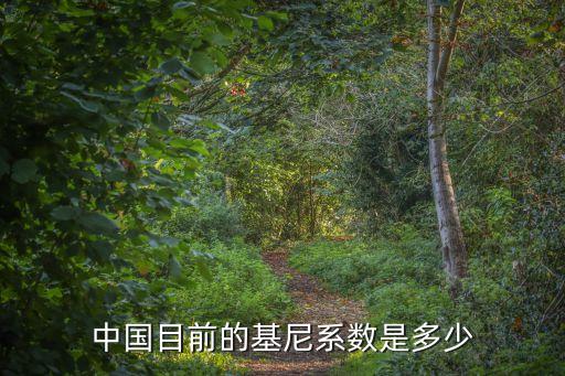 中国目前的基尼系数是多少