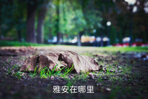 雅安镇，雅安在哪里