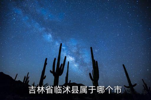 中国临沭，吉林省临沭县属于哪个市