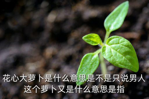 花心大萝卜是什么意思是不是只说男人这个萝卜又是什么意思是指