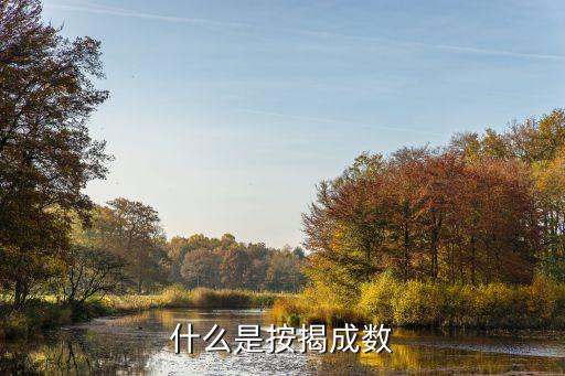 什么是按揭成数
