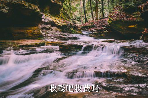 收钱吧收费吗