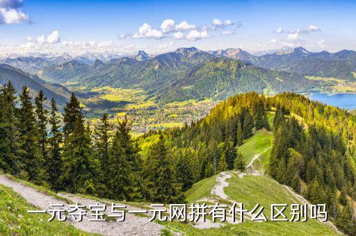一元网，一元夺宝与一元网拼有什么区别吗