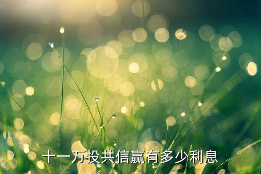 十一万投共信赢有多少利息
