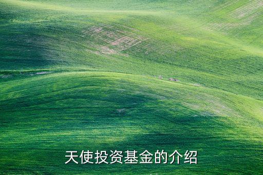 天使投资基金的介绍