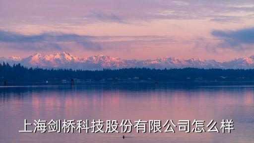 上海剑桥科技股份有限公司怎么样