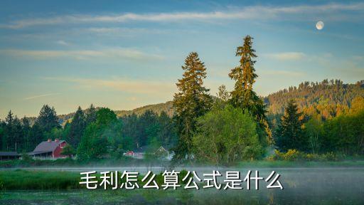 毛利怎么计算公式，毛利率的正确计算公式
