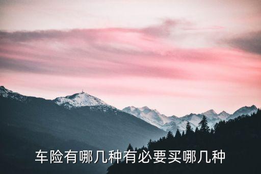 车险必买的哪几种险，车险有哪几种有必要买哪几种