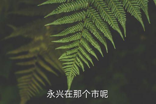 永兴在那个市呢