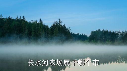 长水河农场，黑龙江省长水河农场在什么地方