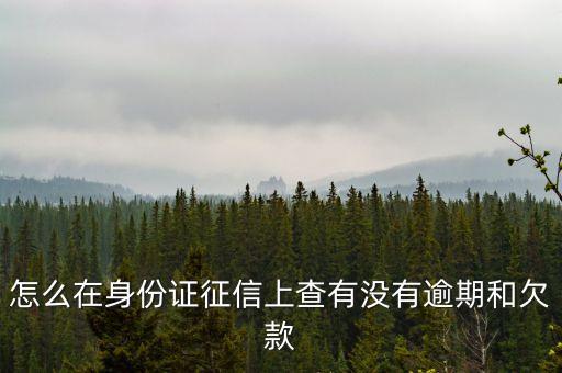 怎么在身份证征信上查有没有逾期和欠款
