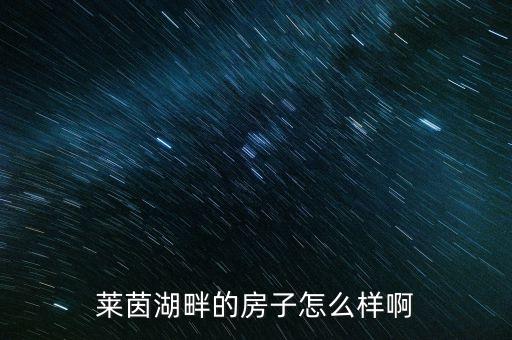 莱茵湖畔的房子怎么样啊