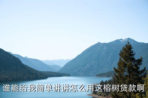 谁能给我简单讲讲怎么用这榕树贷款啊