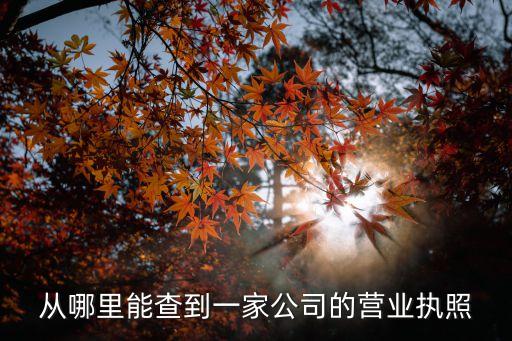 哪里查公司营业执照，怎么查询营业执照