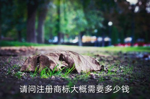 请问注册商标大概需要多少钱