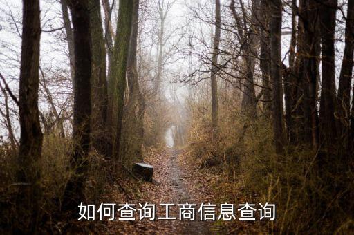如何查询工商信息查询