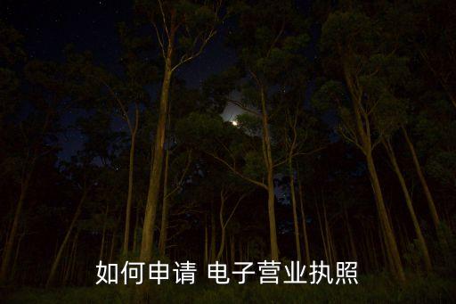 哈尔滨电子营业执照办理，电子商务营业执照如何办理