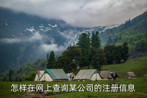 怎样在网上查询某公司的注册信息