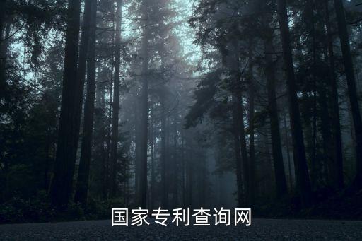 国家专利查询网
