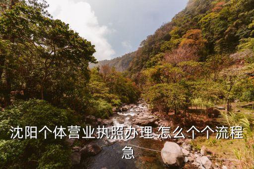 沈阳营业执照办理流程，沈阳个体营业执照办理 怎么个个流程 急
