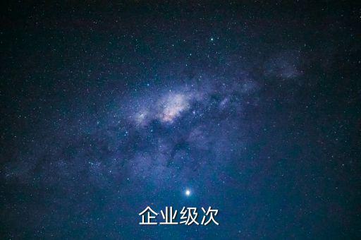 企业等级m是什么意思啊，企业级次