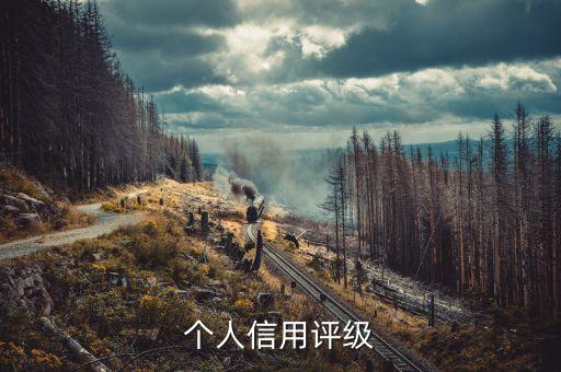 个人信用评级