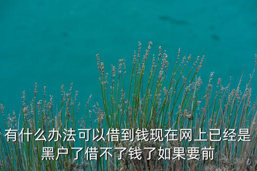 有什么办法黑户可以借到钱，有什么办法可以借到钱现在网上已经是黑户了借不了钱了如果要前