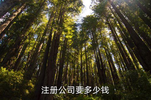 注册公司要多少钱