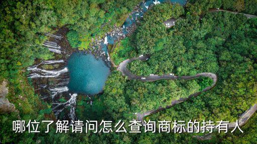 哪位了解请问怎么查询商标的持有人