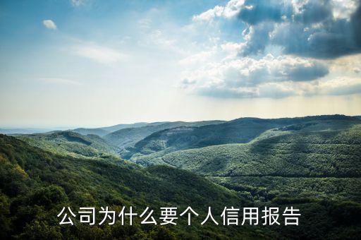 公司为什么要个人信用报告