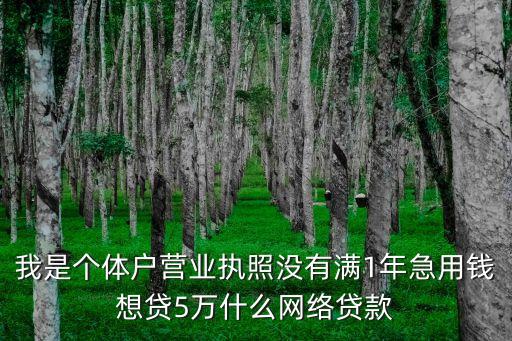 我是个体户营业执照没有满1年急用钱想贷5万什么网络贷款