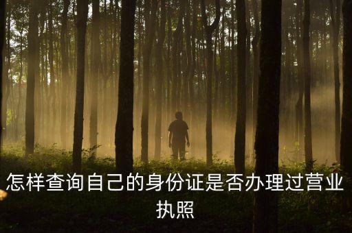 怎样查询自己的身份证是否办理过营业执照