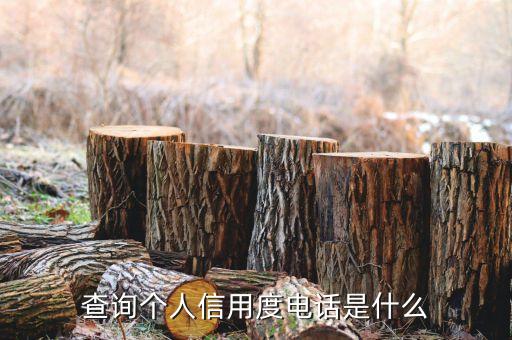全国征信系统查询电话，查询个人信用度电话是什么