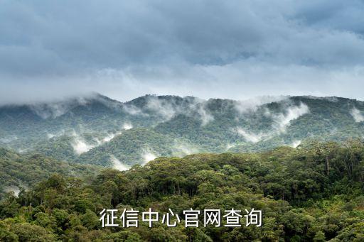 征信中心官网查询