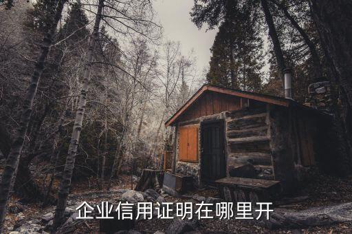 企业信誉证明在哪里开，企业信用证明在哪里开