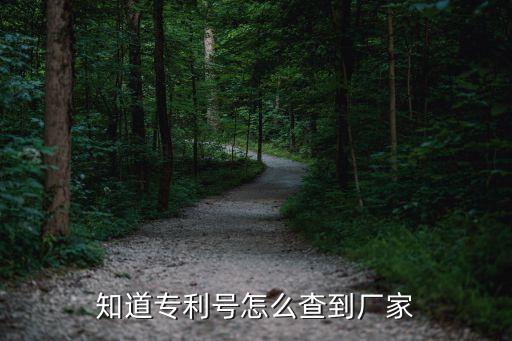 查厂家在哪里查，知道专利号怎么查到厂家